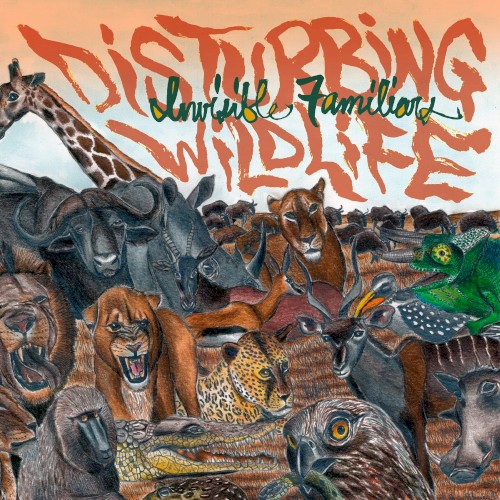 disturbing wildlife