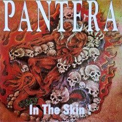 In the Skin!