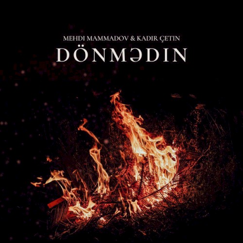Dönmədin