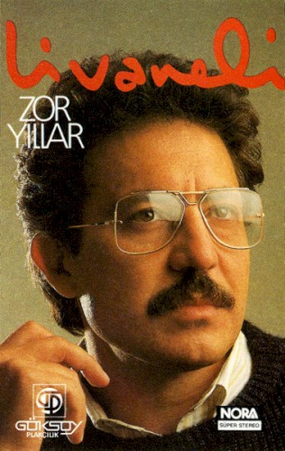 Zor Yıllar