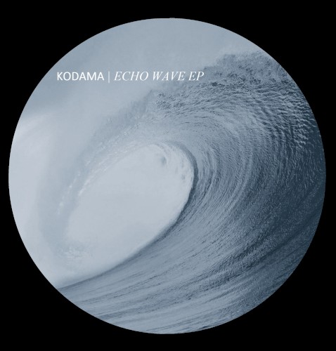 Echo Wave