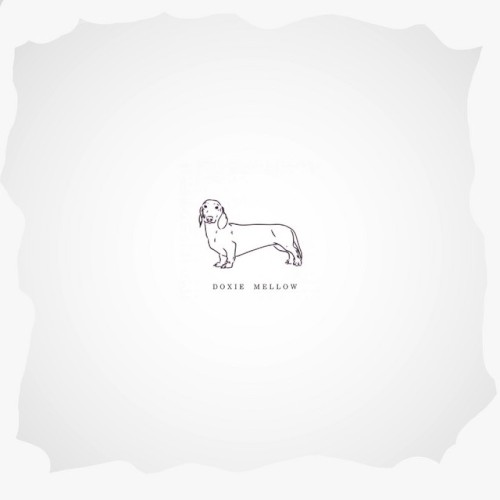 Doxie Mellow