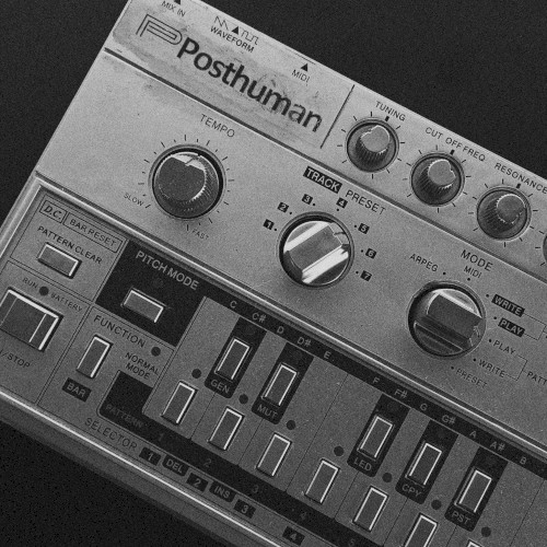 303 Day Acid
