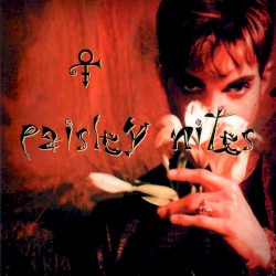 Paisley Nites
