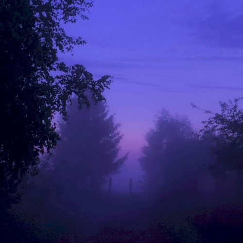 Don’t Wanna Fall