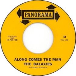 Along Comes The Man / She Said I Do