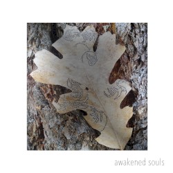 Awakened Souls