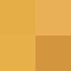#!/for/frie
