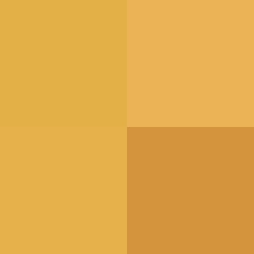 #!/for/frie
