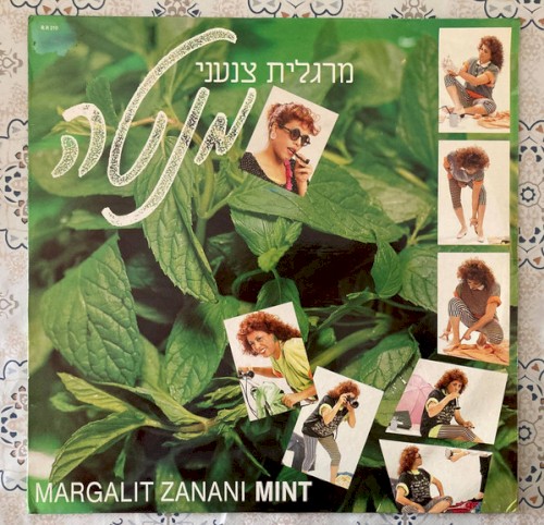 מנטה