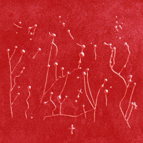 Embruxo Reworks