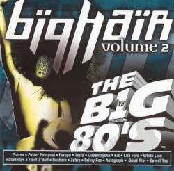 VH1 The Big 80's: Big Hair, Volume 2