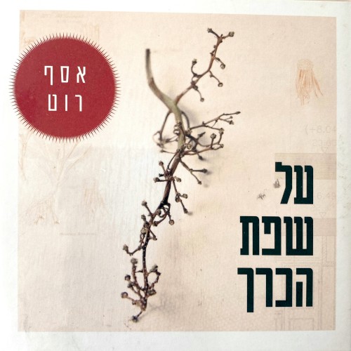 על שפת הכרך