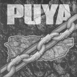 Puya