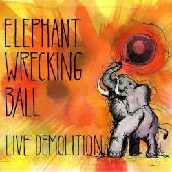 Live Demolition