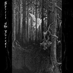 Spirit of the Forest