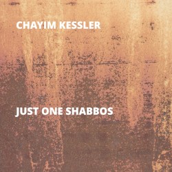 Just One Shabbos