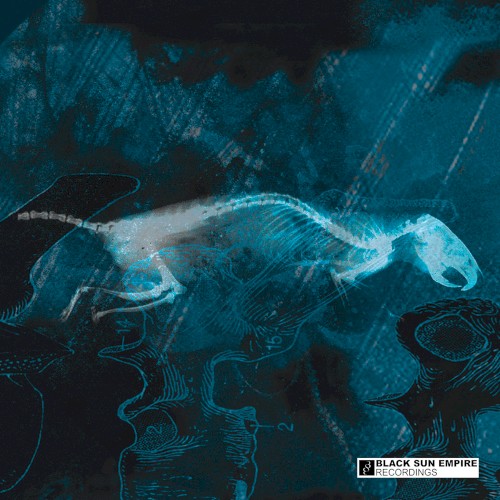The Rat / B'Negative