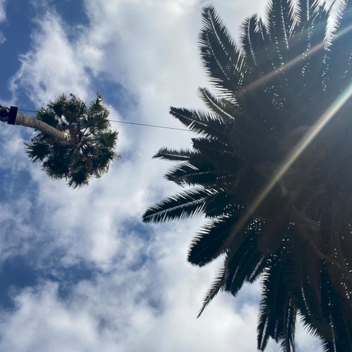 California