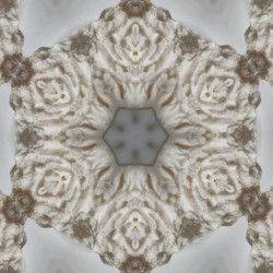 Synapsnschnaxla