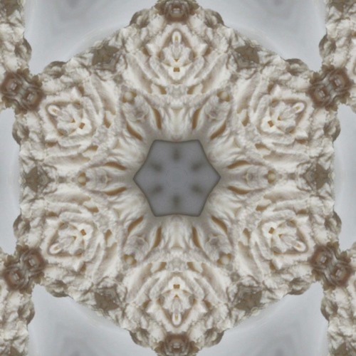 Synapsnschnaxla