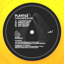 Concrete Echo