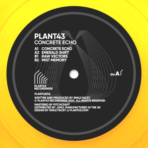 Concrete Echo