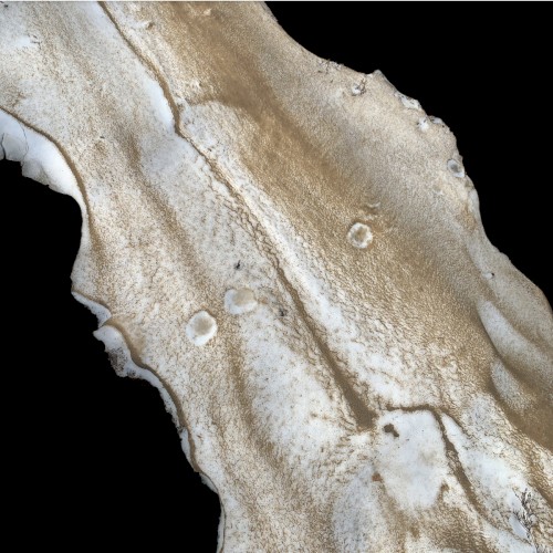 OBJECT