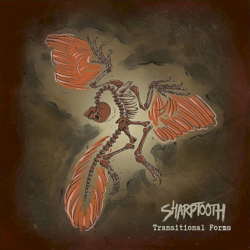 Transitional Forms