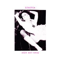 Silk And Honey