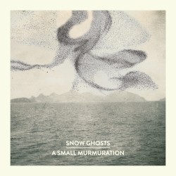 A Small Murmuration