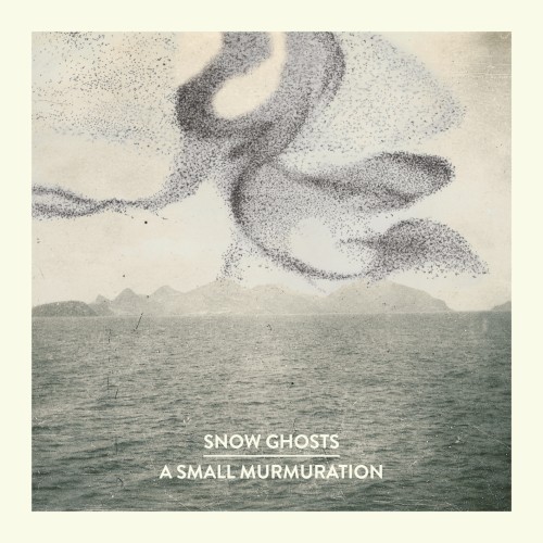 A Small Murmuration