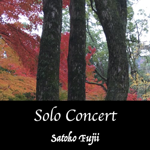 Solo Concert