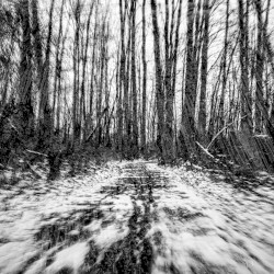 Frozen Ghosts