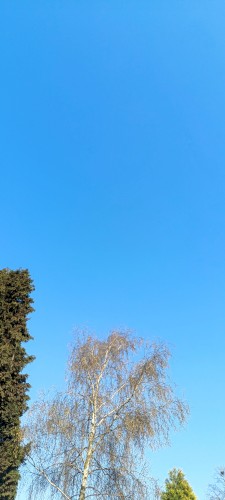 sun2.1