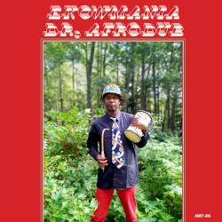 Dr. Afrodub