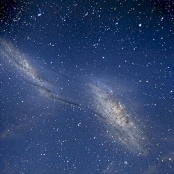 guided by polarized light