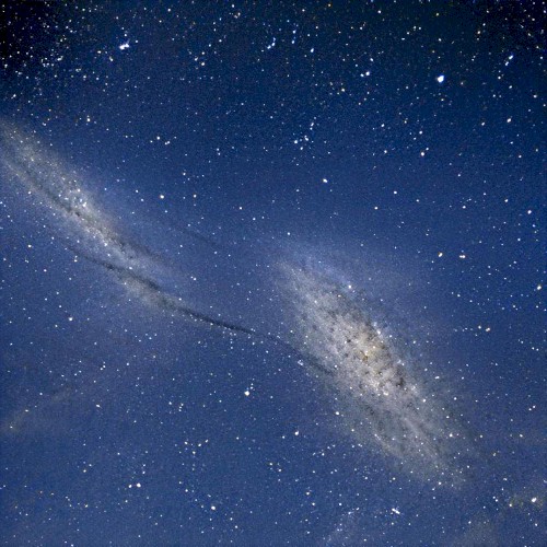 guided by polarized light