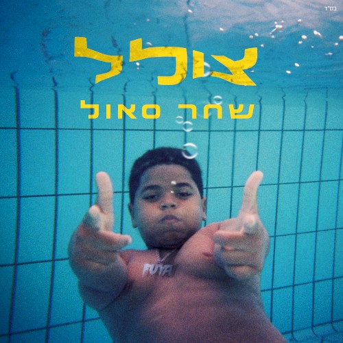 צולל