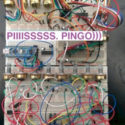 PingO)))
