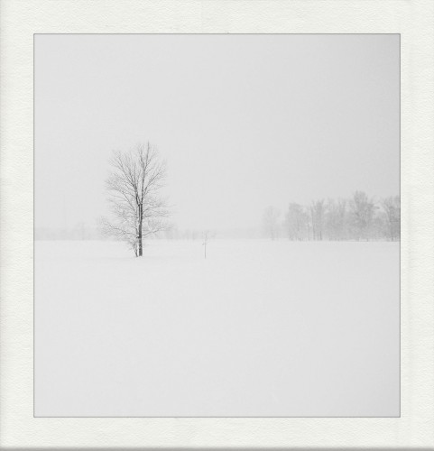 The Colour of Snow