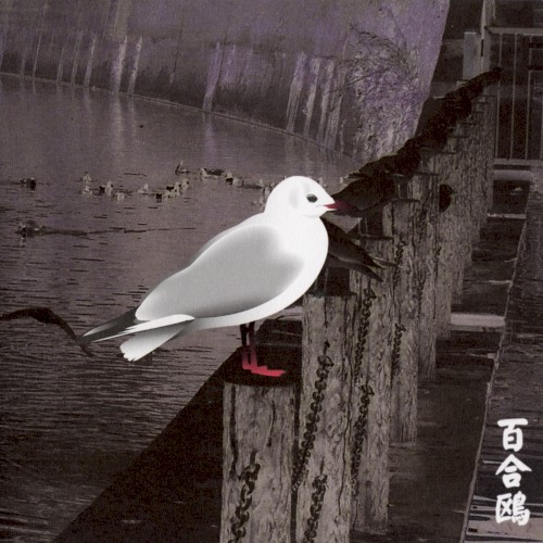 Yurikamome: 13 Japanese Birds, Pt. 3