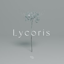 Lycoris