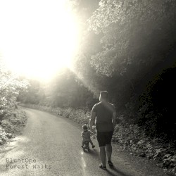 Forest Walk