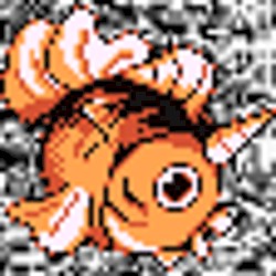 #119 ~ Seaking