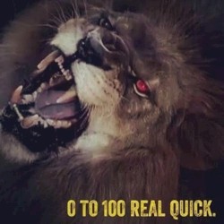 0 to 100