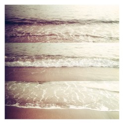 Water’s Edge