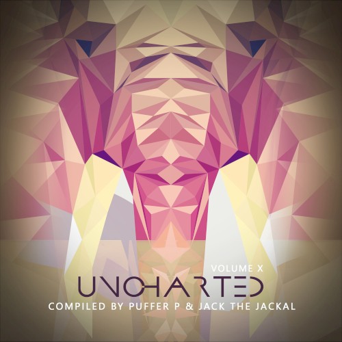 Uncharted, Volume X