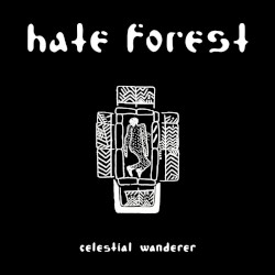 Celestial Wanderer