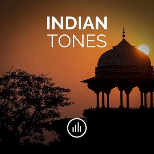 Indian Drones